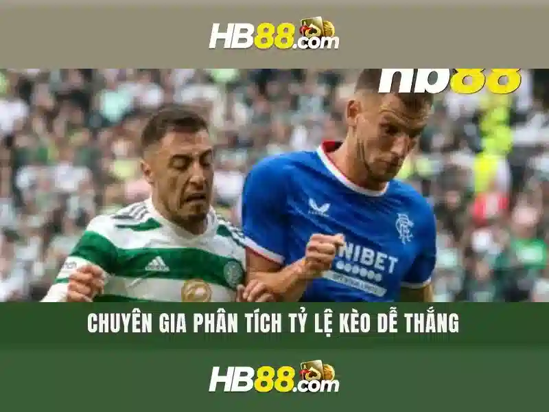 Quyền và nghĩa vụ người chơi HB88