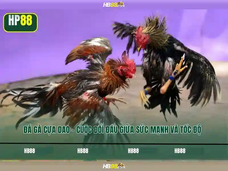 Quy Trình Đăng Nhập