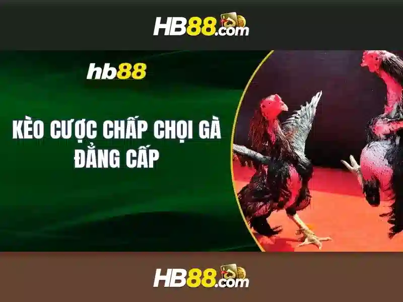 trò chơi slot – Đa Dạng Và Sôi Động