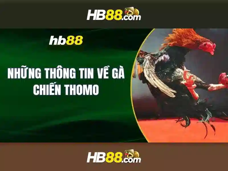 Hệ Thống Trò Chơi Slot Đỉnh Cao
