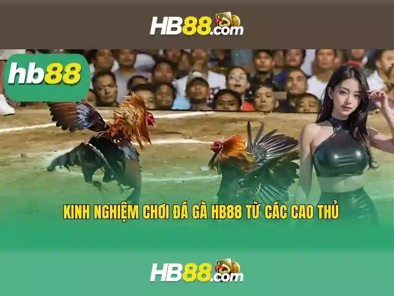 Tải App HB88