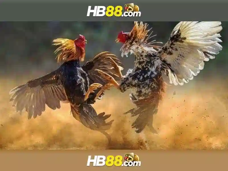 HB88 – Trải Nghiệm Slot Đỉnh Cao Tại hb88.com 2026