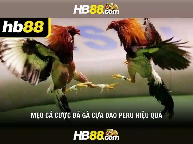 HB88 – Hướng Dẫn Đăng Nhập HB88 | Đăng Nhập HB88 Chính Thức | Trang Chủ HB88
