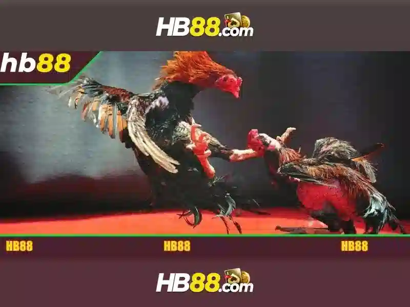 Hướng Dẫn Chơi Slot