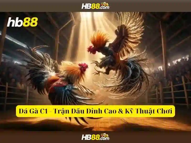 Tỷ Lệ Thắng Cao