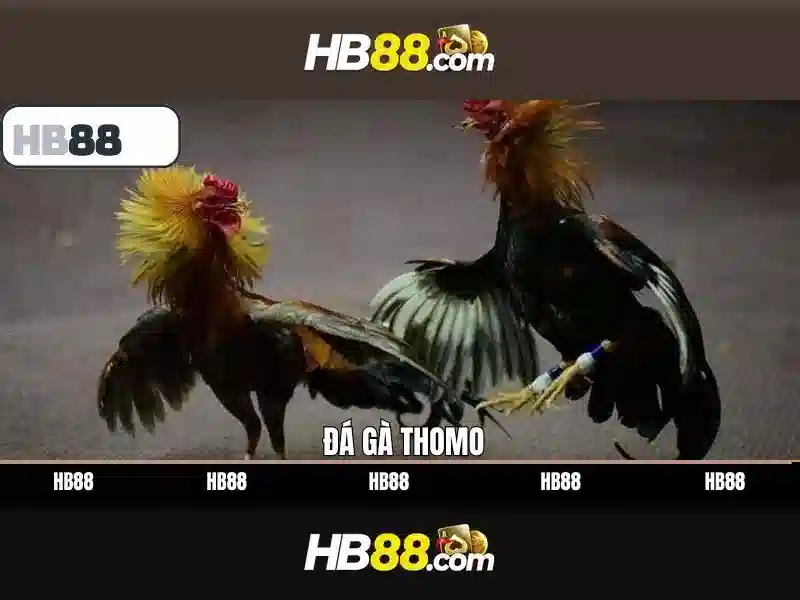 Quy trình tải hb88 và đăng ký tài khoản