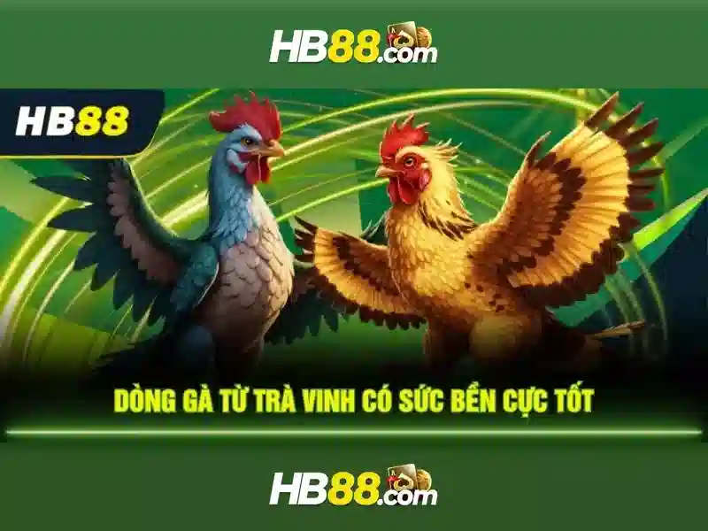HB88 – Link Vào Trang Chủ Chính Thức Không Bị Chặn 2026