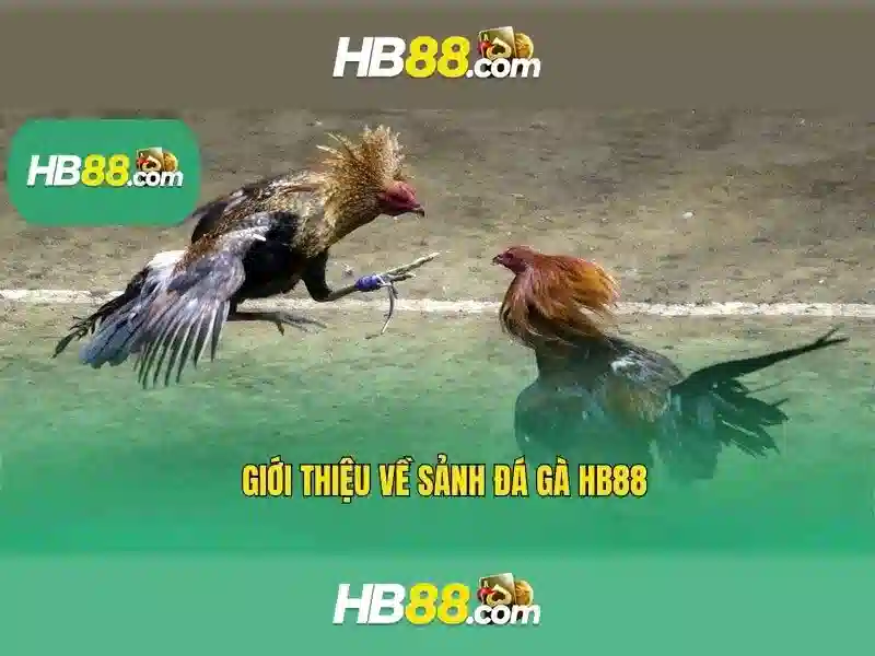Cách truy cập nhanh chóng
