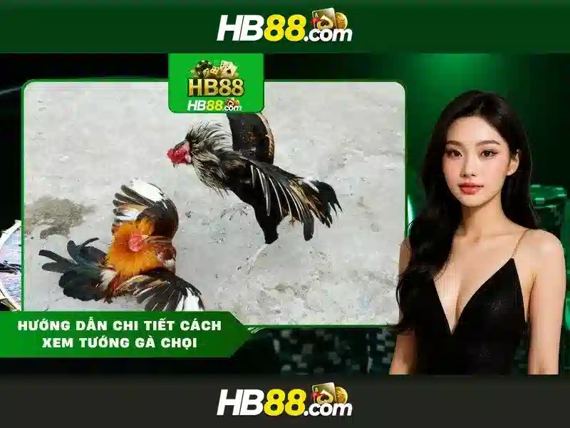 hướng dẫn cài đặt hb88 apk