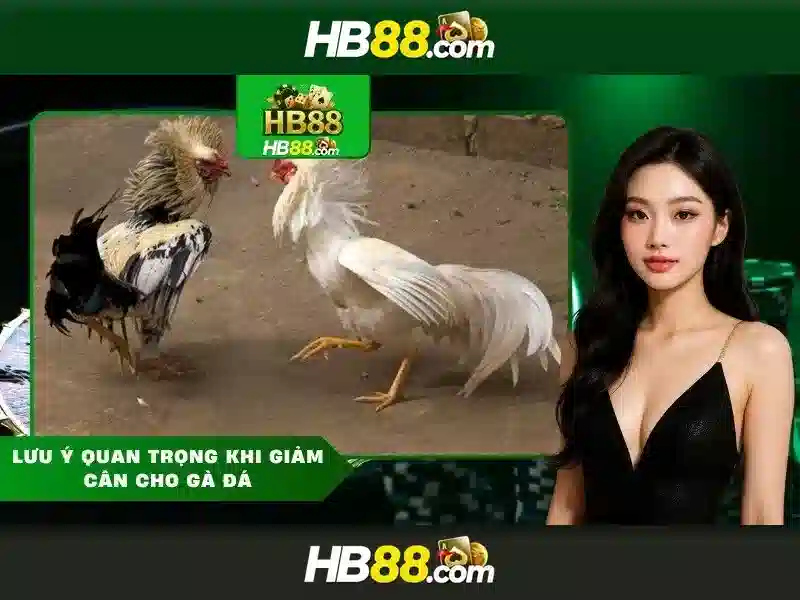 Trải Nghiệm Slot Đỉnh Cao