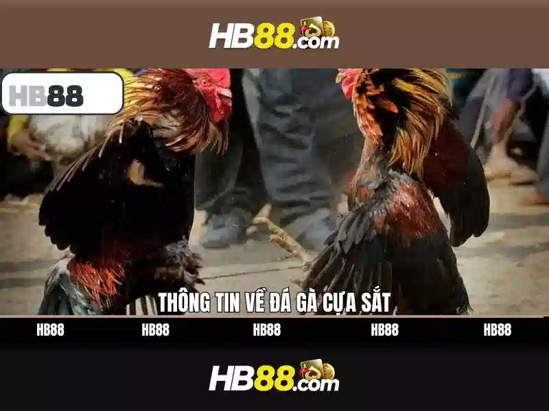 HB88 - Link Vào Trang Chủ HB88 Chính Thức Không Bị Chặn 2026