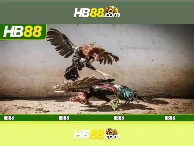 tai app hb88