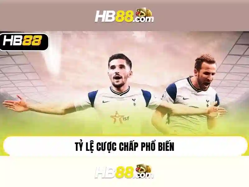Hướng dẫn sử dụng HB88 APK