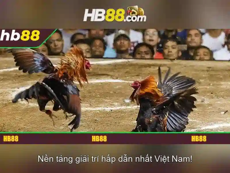 Khuyến mãi tại HB88