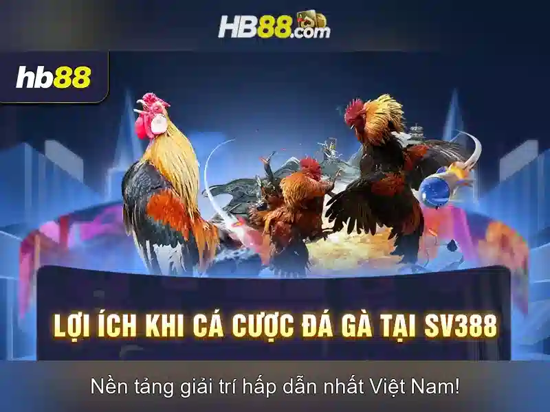 Tải App HB88