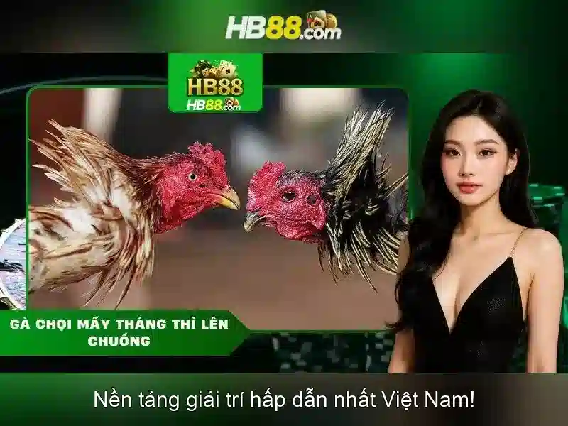 cách chơi slot HB88