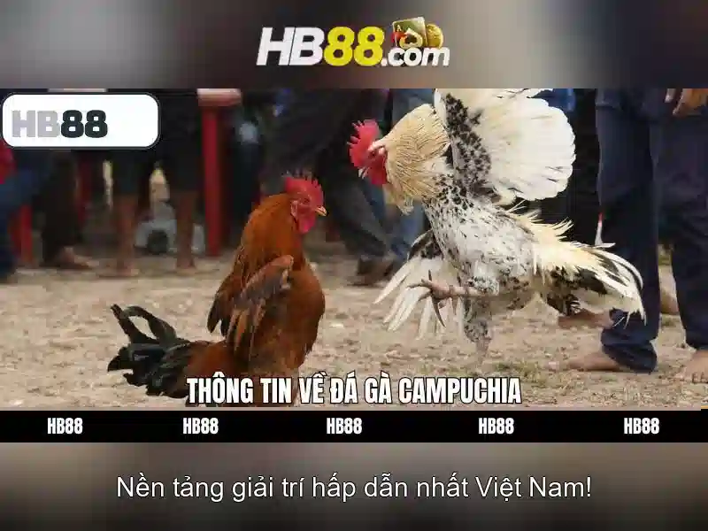 cách chơi Slot HB88 hiệu quả