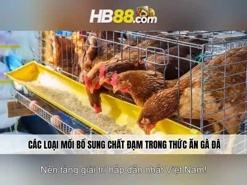 Trải nghiệm slot 3D tại HB88