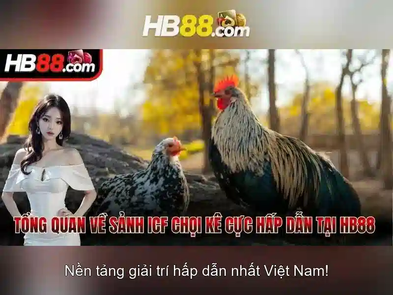 Khuyến Mãi HB88