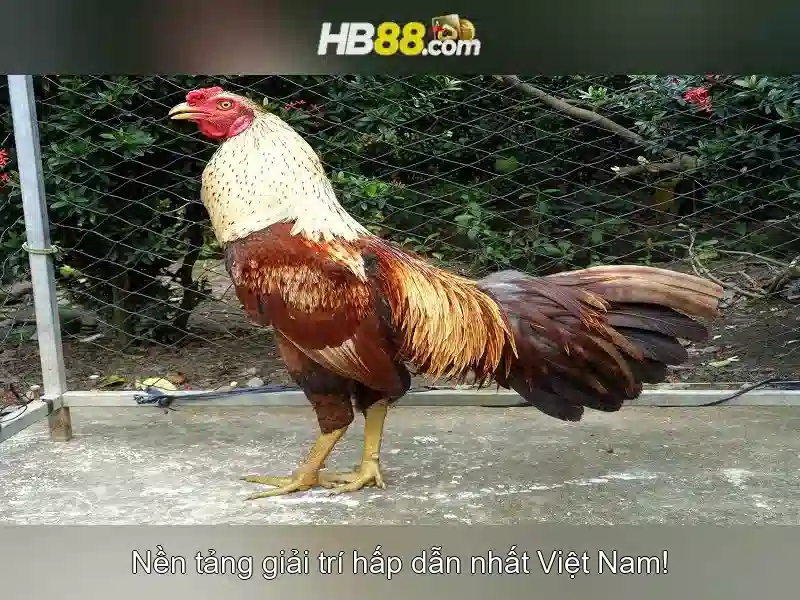 Trải nghiệm Sлот đỉnh cao
