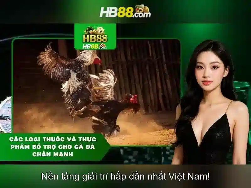 HB88 Club - Trải Nghiệm Slot Đỉnh Cao Với Giao Diện Hiện Đại