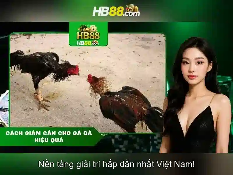 Khuyến Mãi App HB88