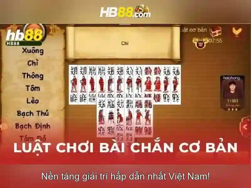 Tại Sao Nên Chọn