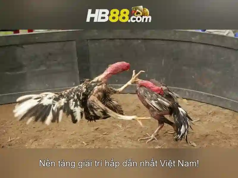Tải ứng dụng Slot HB88