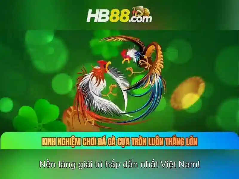 HB88 - Link Tại HB88 Chính Thức 2026 | Trải Nghiệm Slot Đỉnh Cao