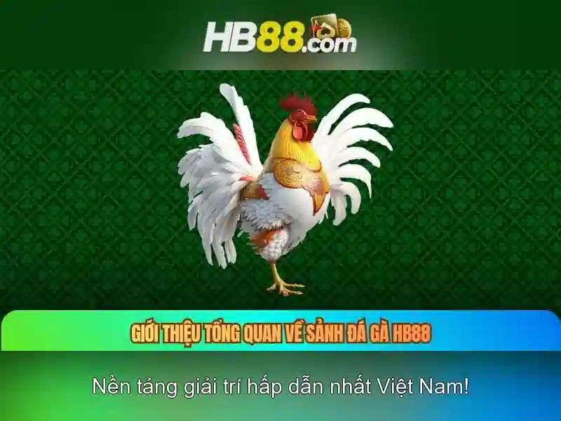 cách chơi slot trực tuyến