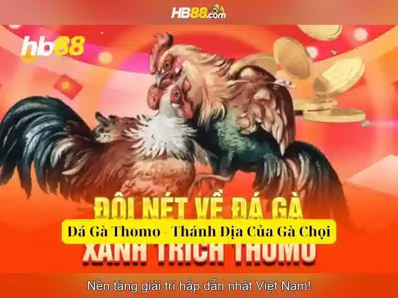 Trải nghiệm cá cược