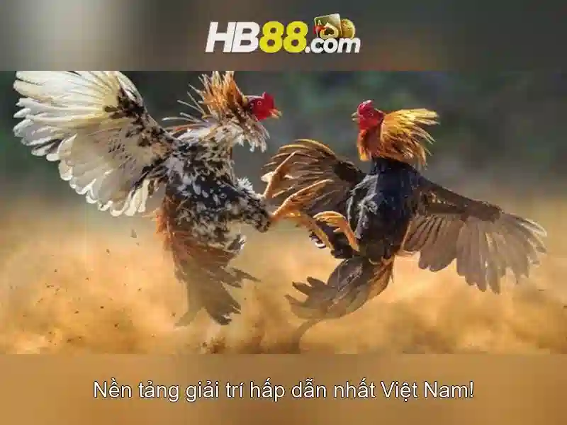 Khuyến mãi hấp dẫn